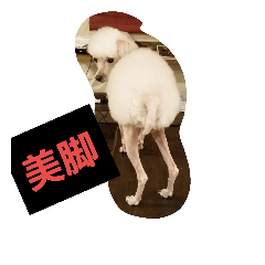 [LINEスタンプ] あやめ01