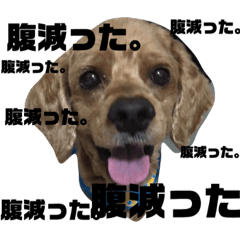 [LINEスタンプ] はじめまして、テンです