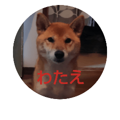 [LINEスタンプ] 浜の猫たち2