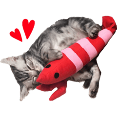 [LINEスタンプ] ちろたんスタンプ