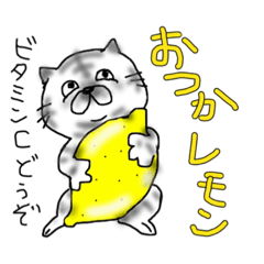 [LINEスタンプ] くだものねこさん