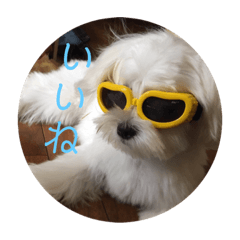 [LINEスタンプ] ルルな毎日