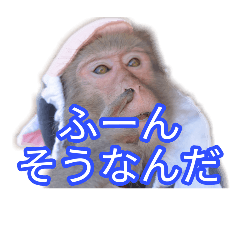 [LINEスタンプ] 猿でも使えるデカ文字スタンプ