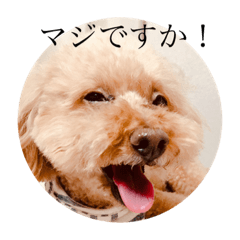 [LINEスタンプ] みるくデカ文字スタンプ＊