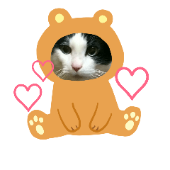 [LINEスタンプ] 久田家の猫 "ボブ" のスタンプ*