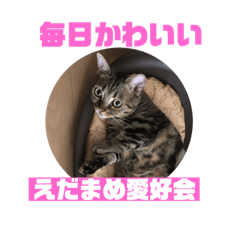 [LINEスタンプ] 我が家の えだまめ先生 スタンプ 2