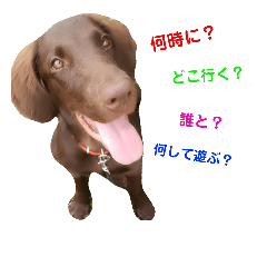 [LINEスタンプ] りんぐ