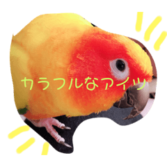 [LINEスタンプ] 我が家のカラフルなアイツ