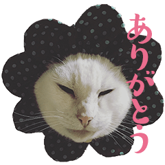 [LINEスタンプ] みみとりんPART2