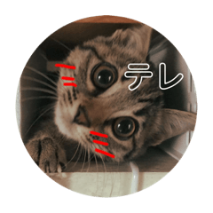 [LINEスタンプ] がむちゃんとぞんちゃんはなかよし