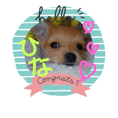 [LINEスタンプ] ひなちゃんだよ。