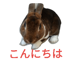 [LINEスタンプ] ラルスタβ