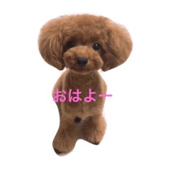 [LINEスタンプ] シェリ
