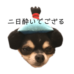 [LINEスタンプ] イギーとフール