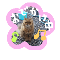 [LINEスタンプ] みかにゃんともにゃんすたんぷ2