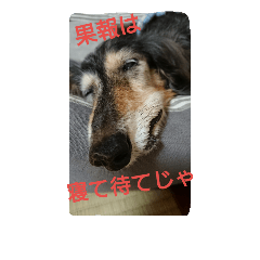 [LINEスタンプ] りくじぃの格言