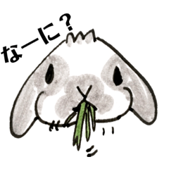 [LINEスタンプ] うさぎの仲間たち 手描き