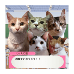 [LINEスタンプ] にゃんこ達のスタンプ2