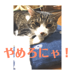 [LINEスタンプ] ととまる01
