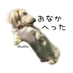 [LINEスタンプ] ひじかけだっくす