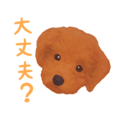 [LINEスタンプ] ワンコの日常スタンプ (ココちゃん)