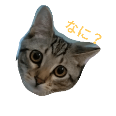 [LINEスタンプ] 我が家の麦のスタンプ