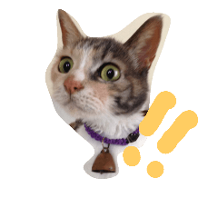 [LINEスタンプ] うちの猫（12）