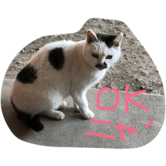 [LINEスタンプ] 陽人さん3