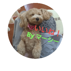 [LINEスタンプ] マーシーのスタンプ