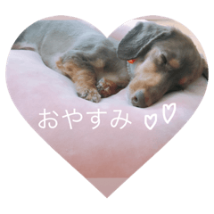 [LINEスタンプ] わたしのすたんぷ ft