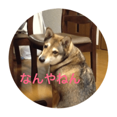 [LINEスタンプ] momoco de wan 2