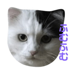 [LINEスタンプ] ルークたち2