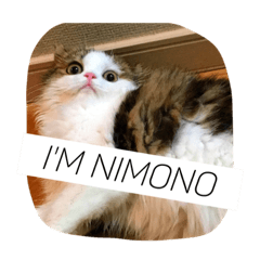 [LINEスタンプ] にものちゃん