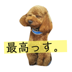 [LINEスタンプ] しん_