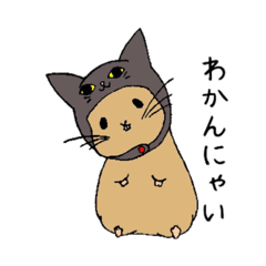 [LINEスタンプ] ねこかぶりハム