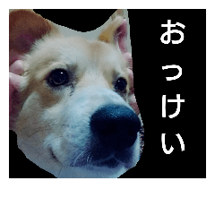 [LINEスタンプ] かいちゃん2
