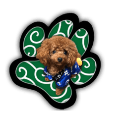 [LINEスタンプ] トイプー 麿くん