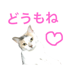 [LINEスタンプ] みるららビス4