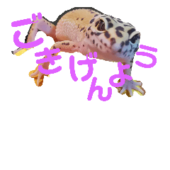 [LINEスタンプ] レオパのこむぎ