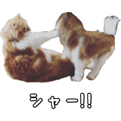 [LINEスタンプ] むぎチョコすたんぷ