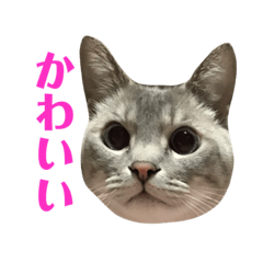 [LINEスタンプ] めるそら3