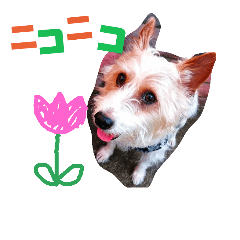 [LINEスタンプ] トンスケ君