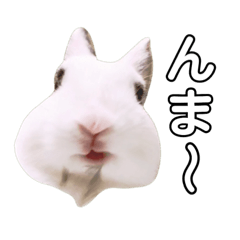 [LINEスタンプ] うさぎのあんにん