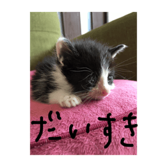 I❤︎ひめ