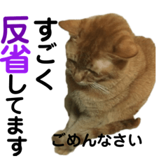 [LINEスタンプ] にゃんしーの仲間たち2
