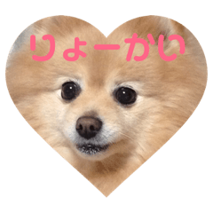 [LINEスタンプ] さくらちゃーーん
