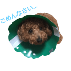 [LINEスタンプ] ゆず＆あんず1