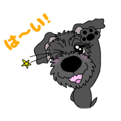 [LINEスタンプ] 黒シュナチョコりん