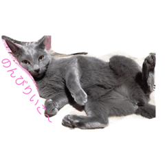 [LINEスタンプ] 販売員の一日