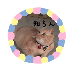[LINEスタンプ] みつもも動物病院